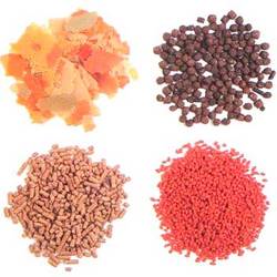 Manufacturers Exporters and Wholesale Suppliers of Fish Food hyderabad Andhra Pradesh